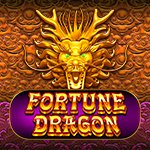 Fortune Dragon PP